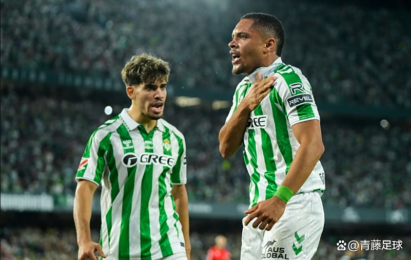 关于本菲卡新援深受瞩目,备战皇家贝蒂斯的信息 关于本菲卡新援深受瞩目,备战皇家贝蒂斯的信息