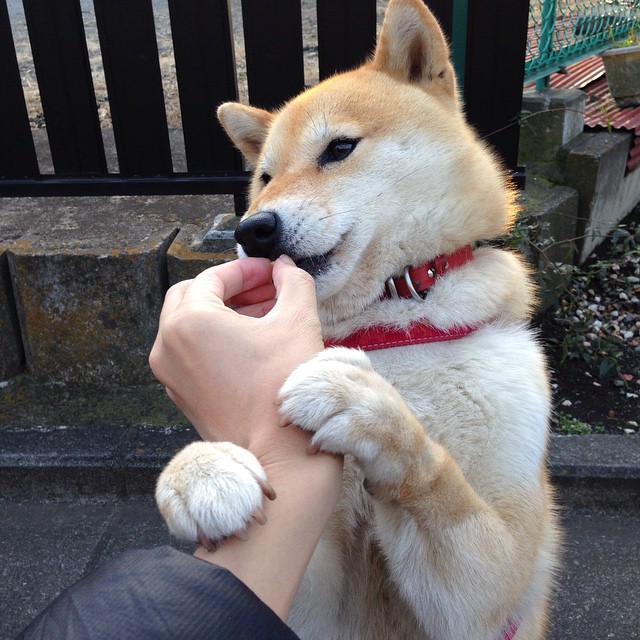 欧冠淘汰赛焦点战，快船决胜局带走尼克斯