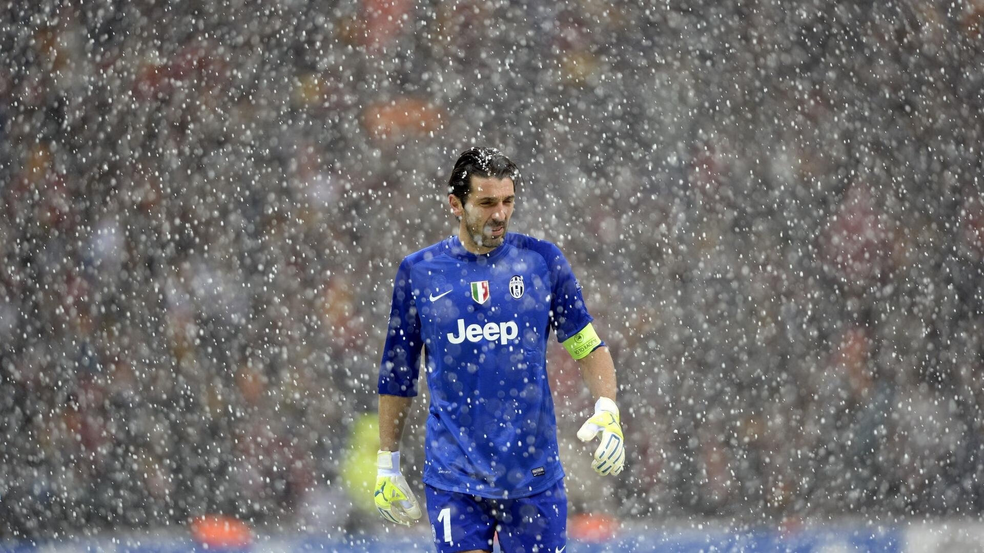 霍勒迪冠军级表现，森林狼冲垮篮网，一场战术与意志的胜利